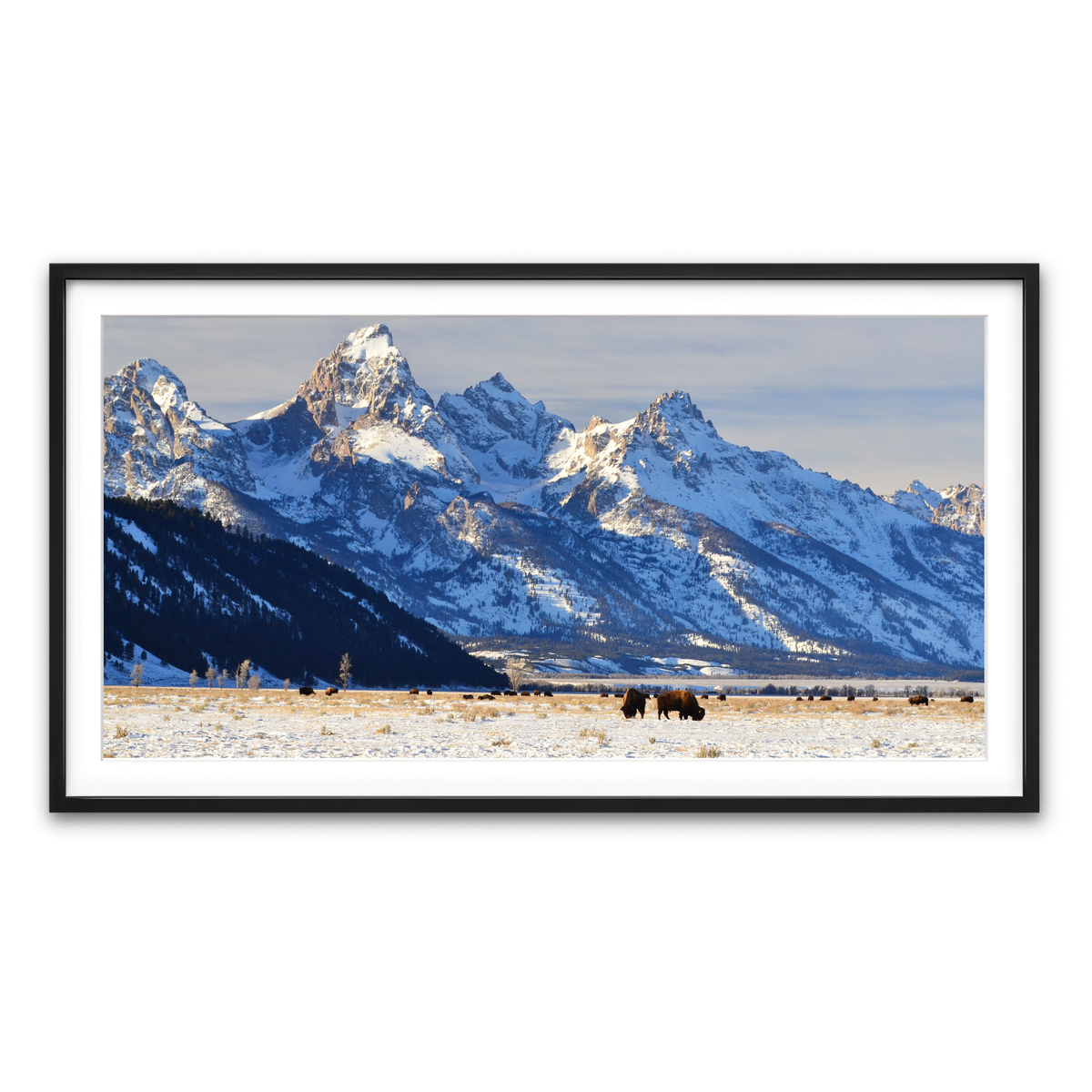 Framed Print 2x1 Black