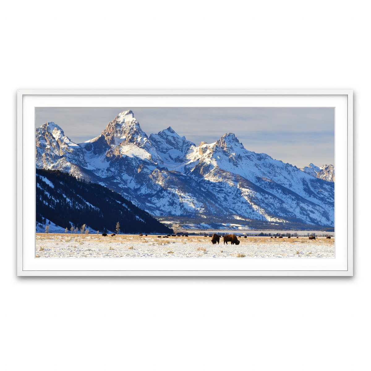 Framed Print 2x1 White