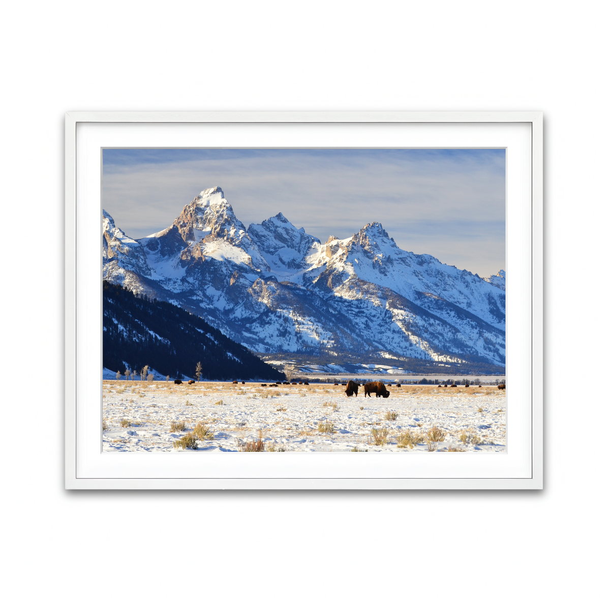 Framed Print 4x3 White