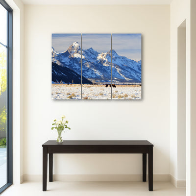 AUTO-MOCKUP ROOM | Bison grazing - Grand Teton National Park