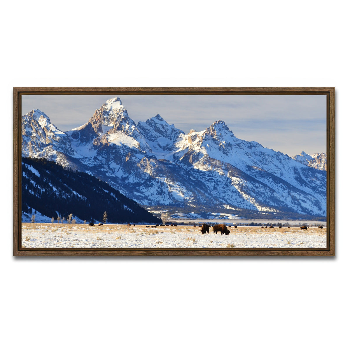 AUTO-MOCKUP WHITE | Bison grazing - Grand Teton National Park | 1 Piece | Walnut Framed Canvas | group=2x1