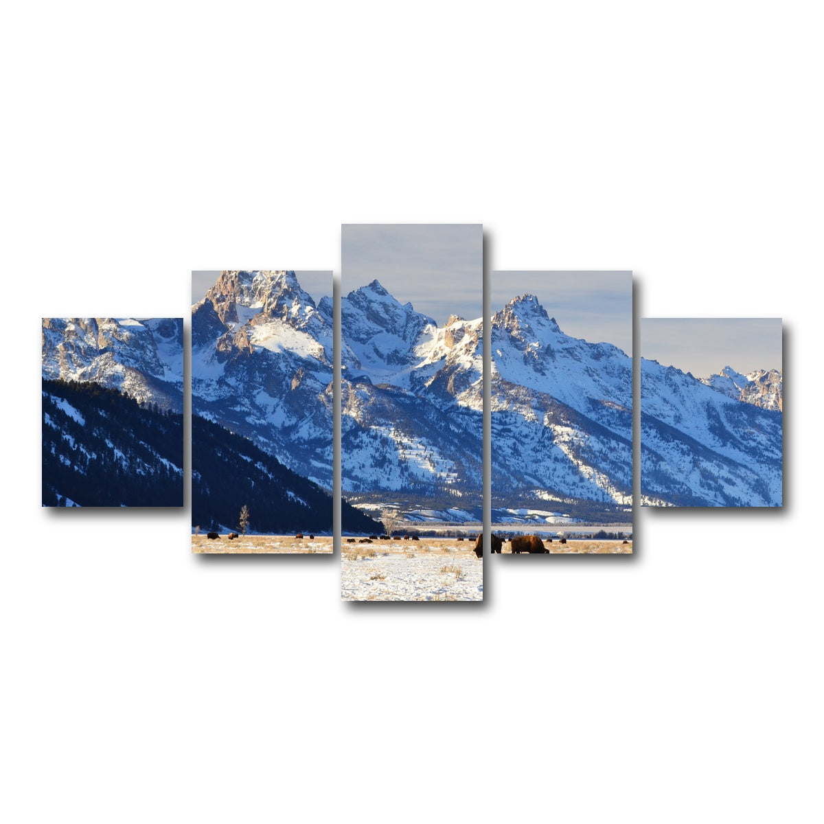 AUTO-MOCKUP WHITE | Bison grazing - Grand Teton National Park | 5 Piece | Gallery Wrap Canvas | group=5_short