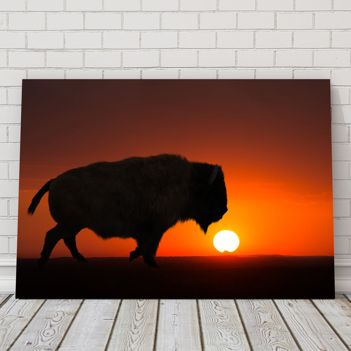 Bison at Sunset Wall Art