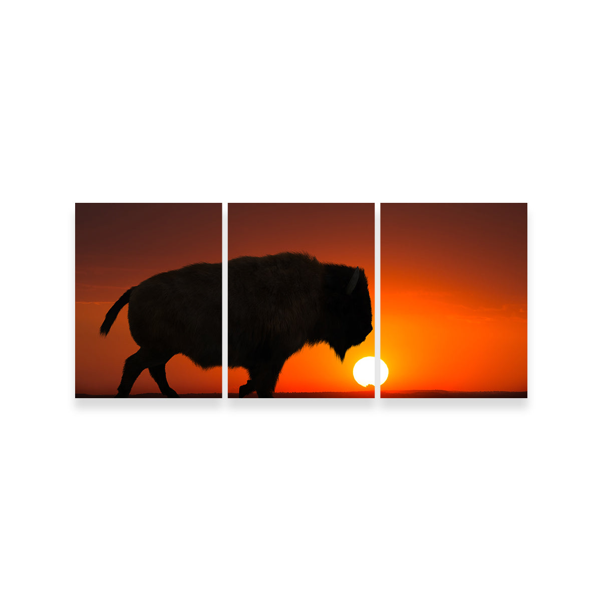 Bison at Sunset Wall Art