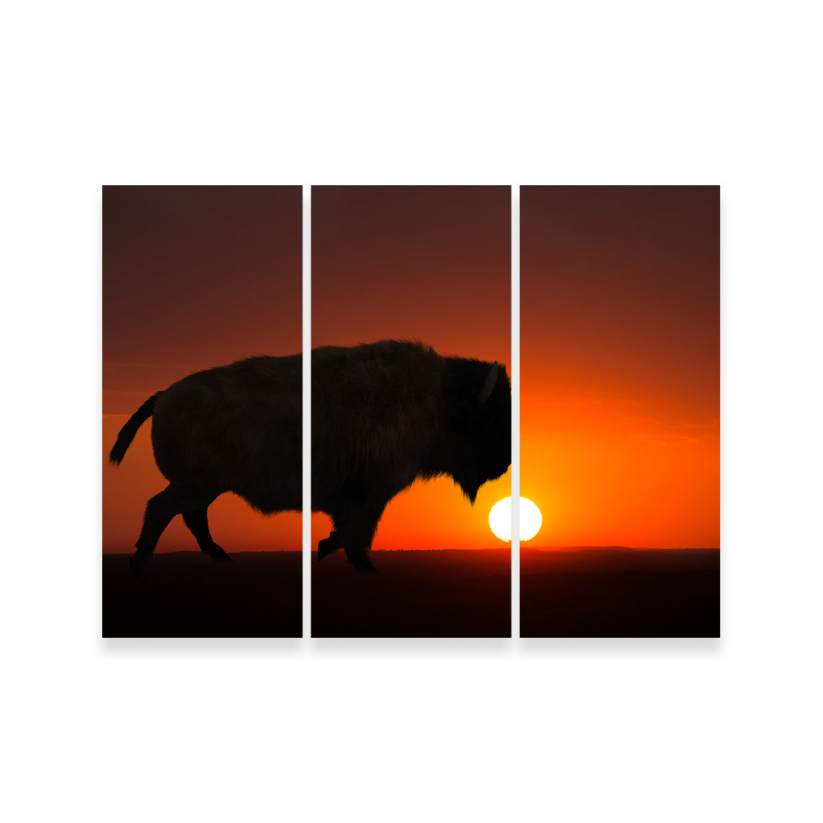 Bison at Sunset Wall Art