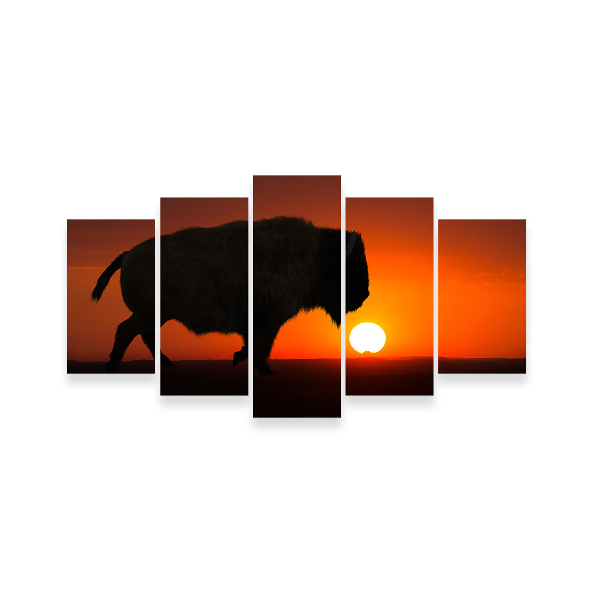 Bison at Sunset Wall Art