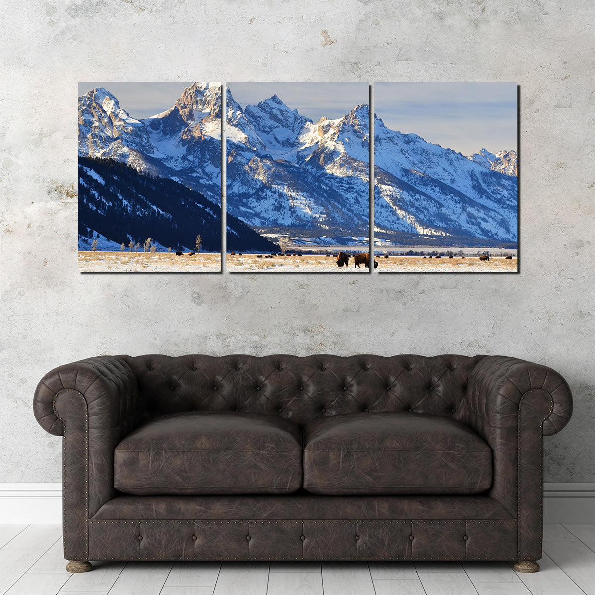 Bison Grazing - Grand Teton National Park Wall Art