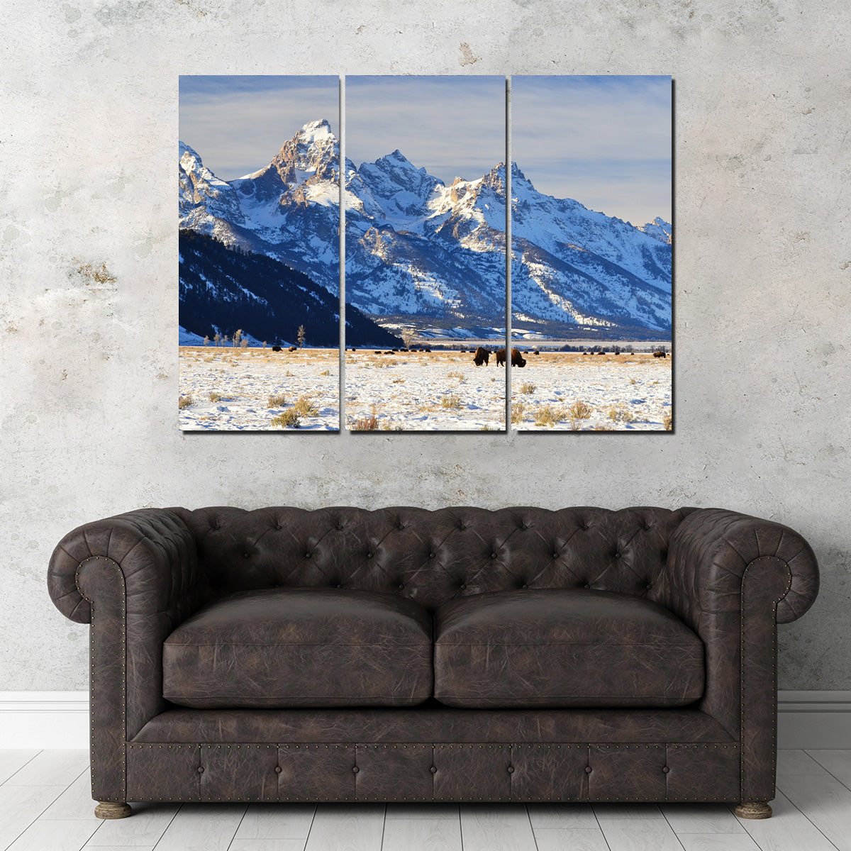 Bison Grazing - Grand Teton National Park Wall Art