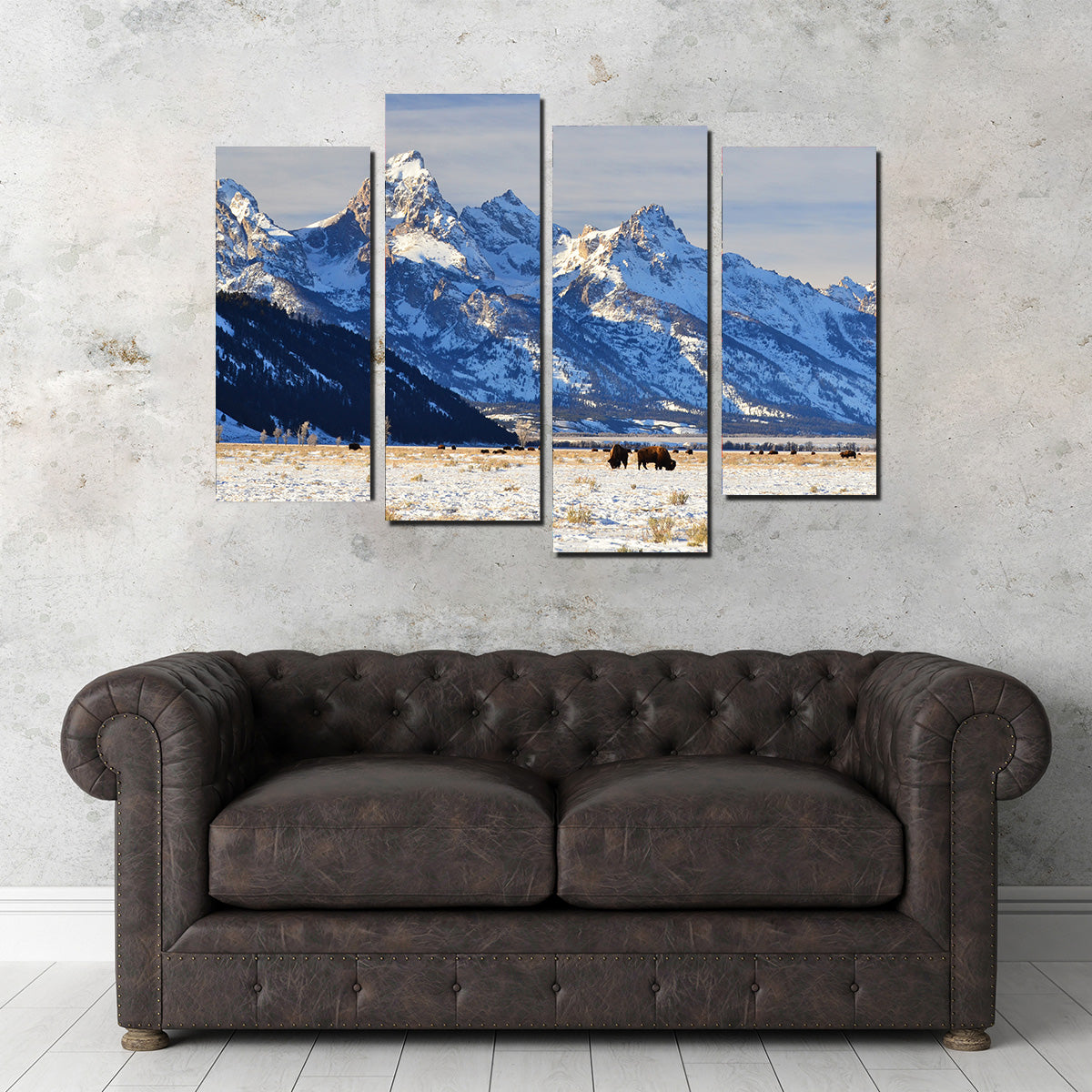 Bison Grazing - Grand Teton National Park Wall Art