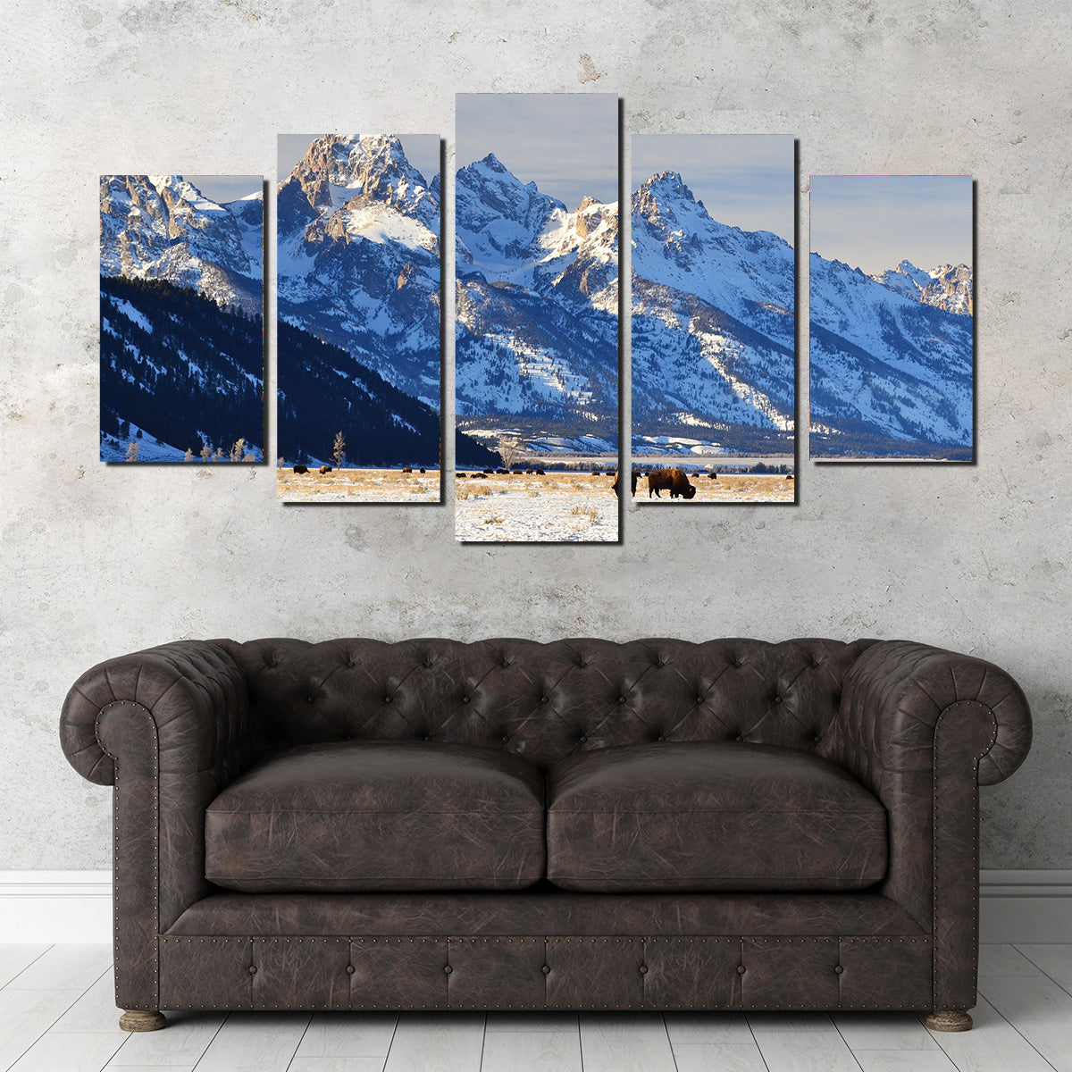 Bison Grazing - Grand Teton National Park Wall Art