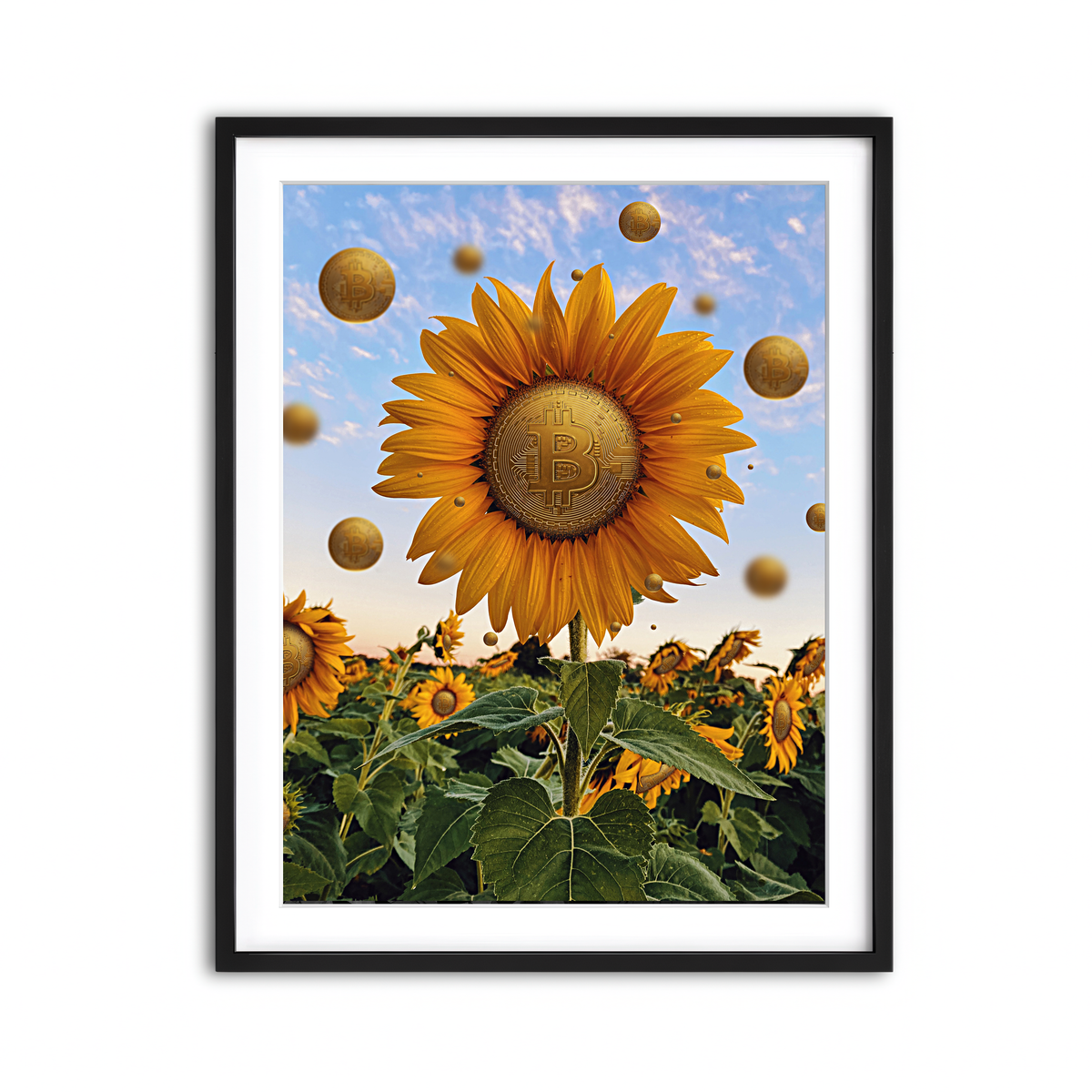 Framed Print 3x4 Black
