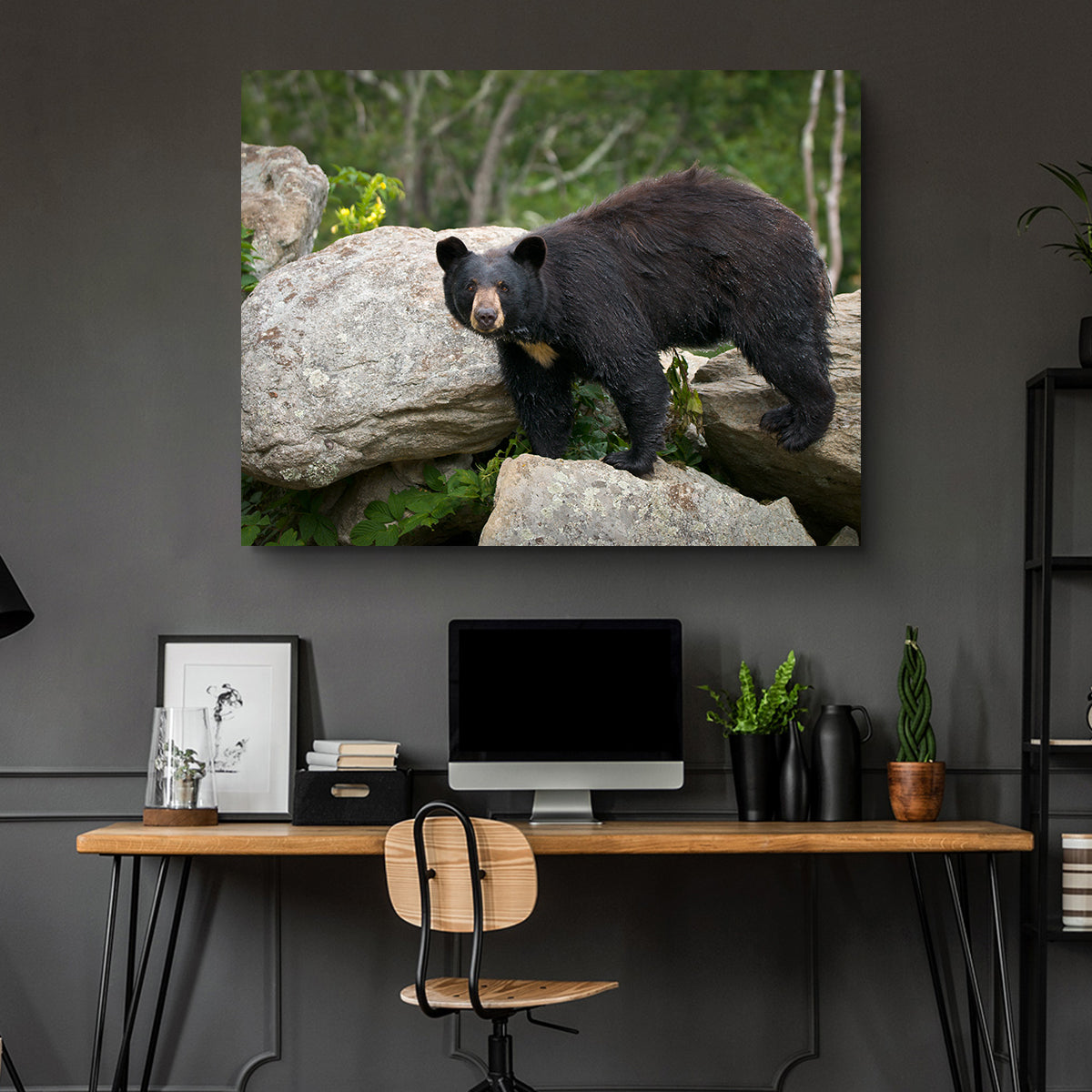 Black Bear Wall Art