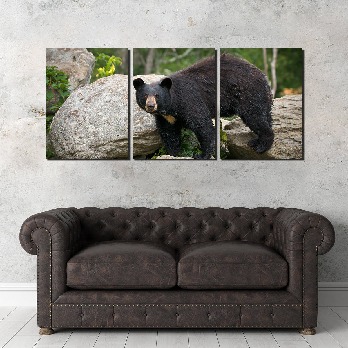 Black Bear Wall Art