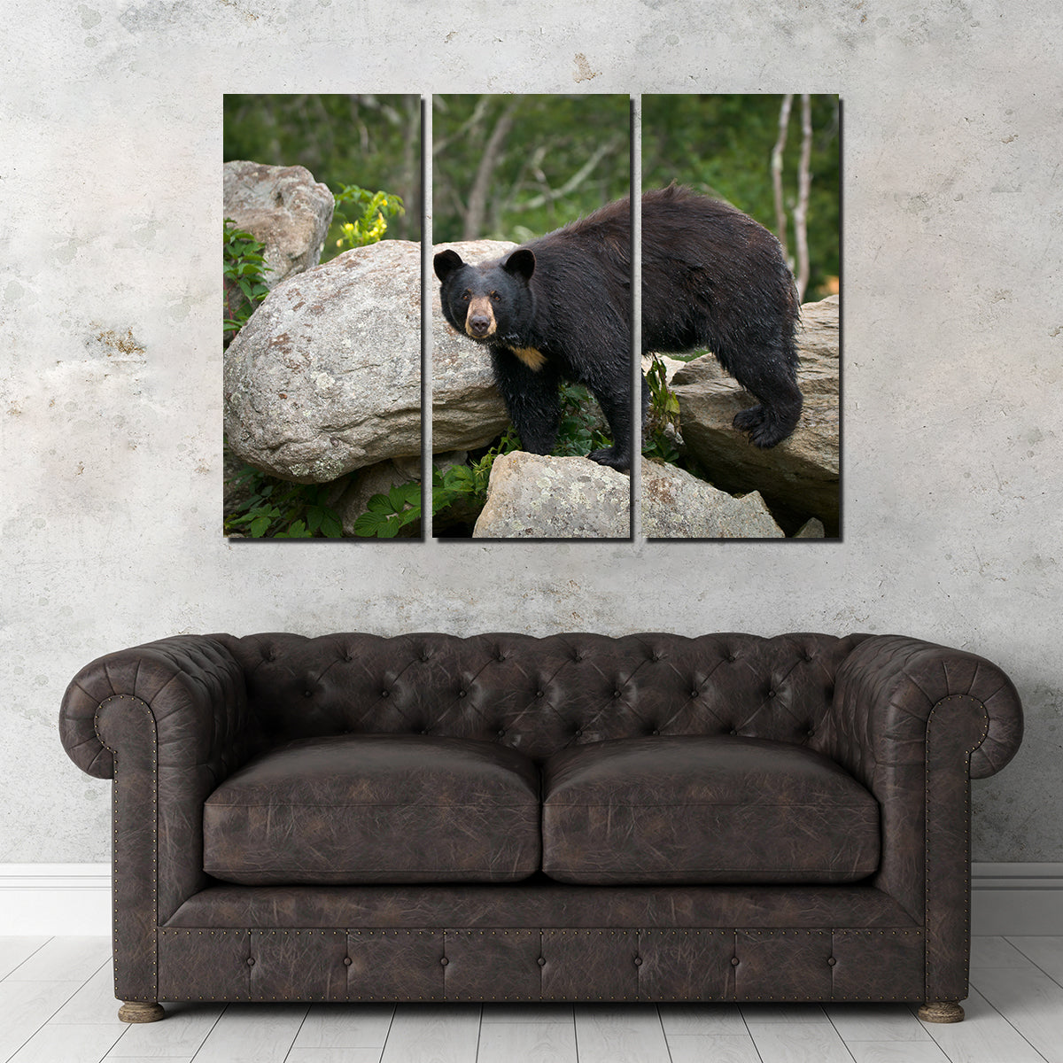 Black Bear Wall Art