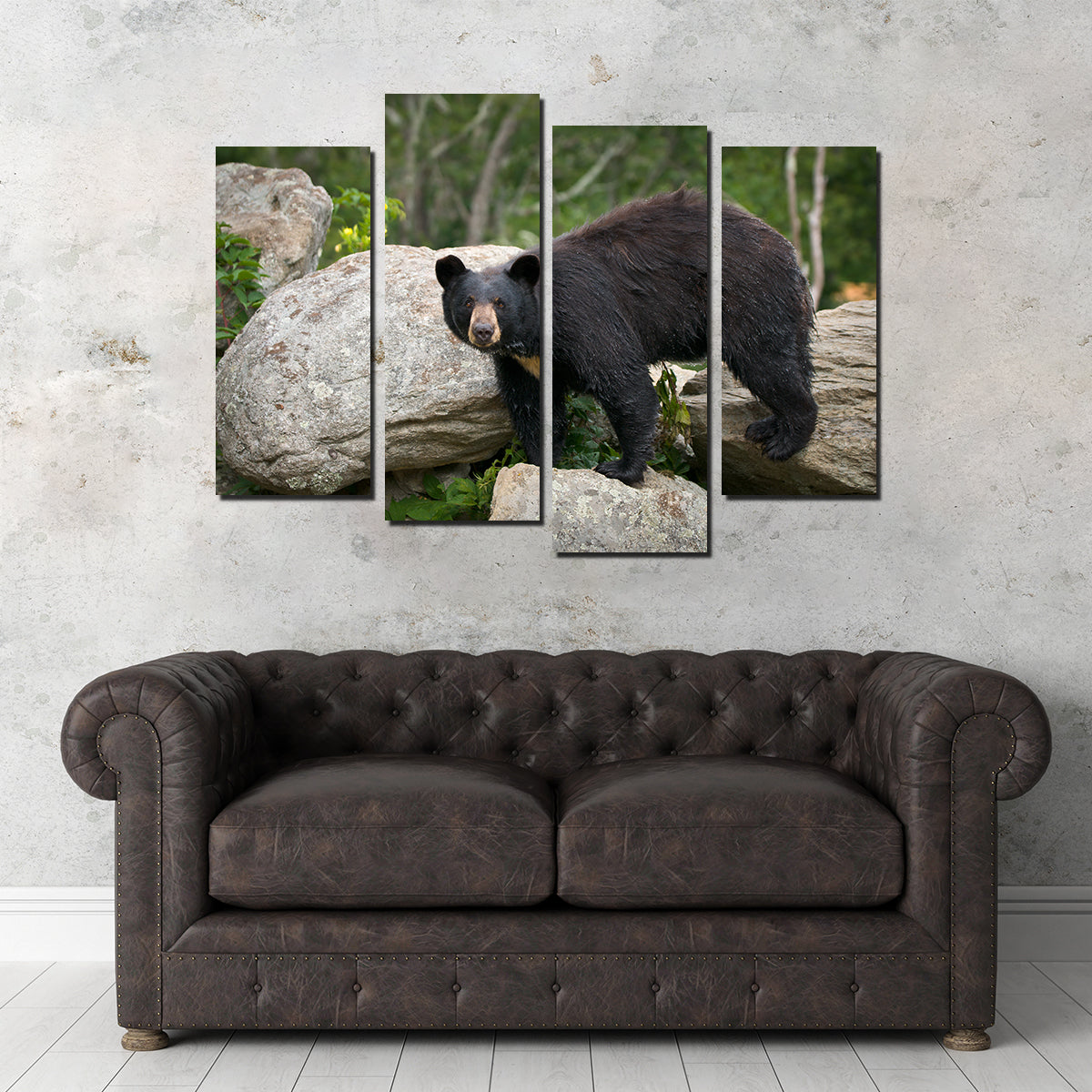 Black Bear Wall Art