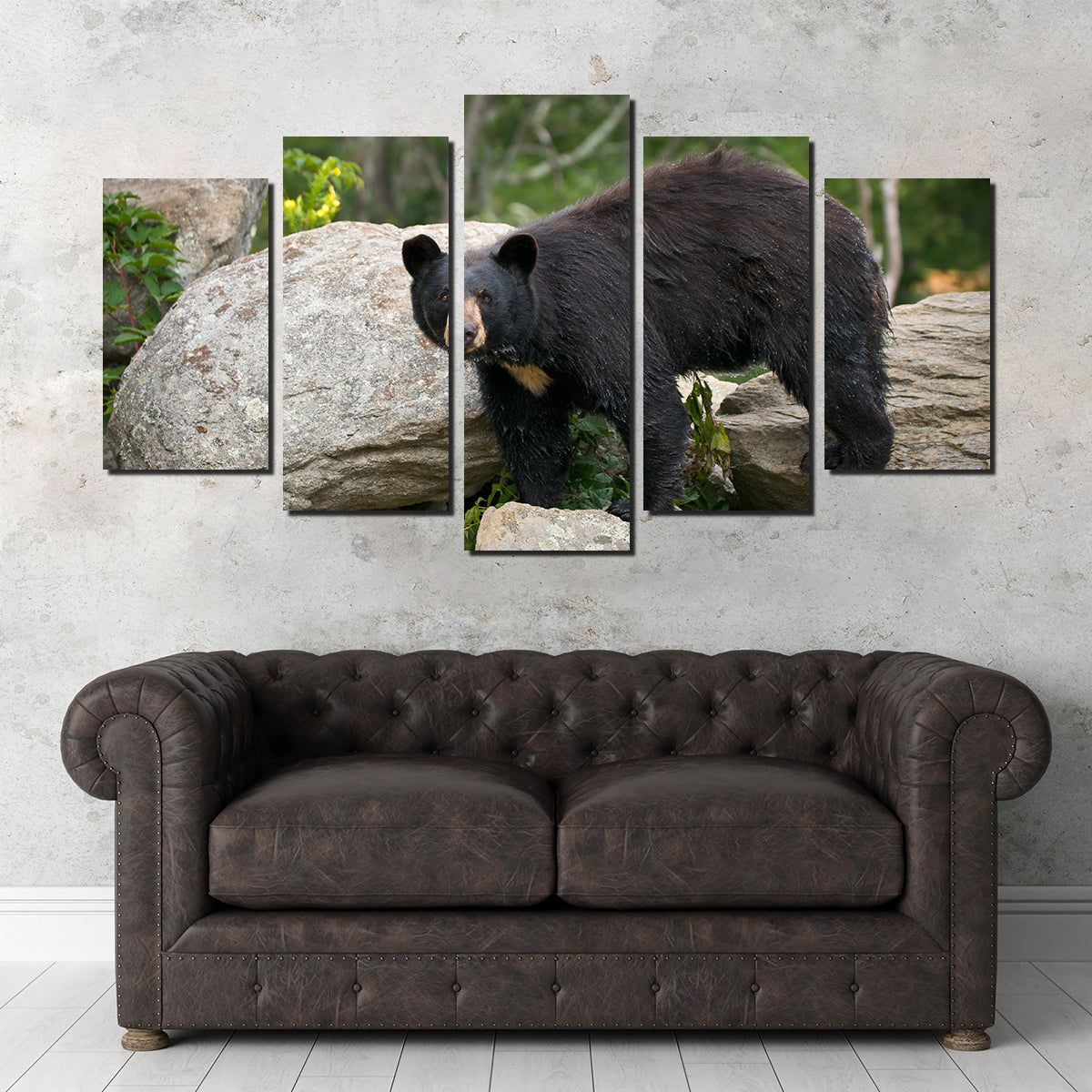 Black Bear Wall Art