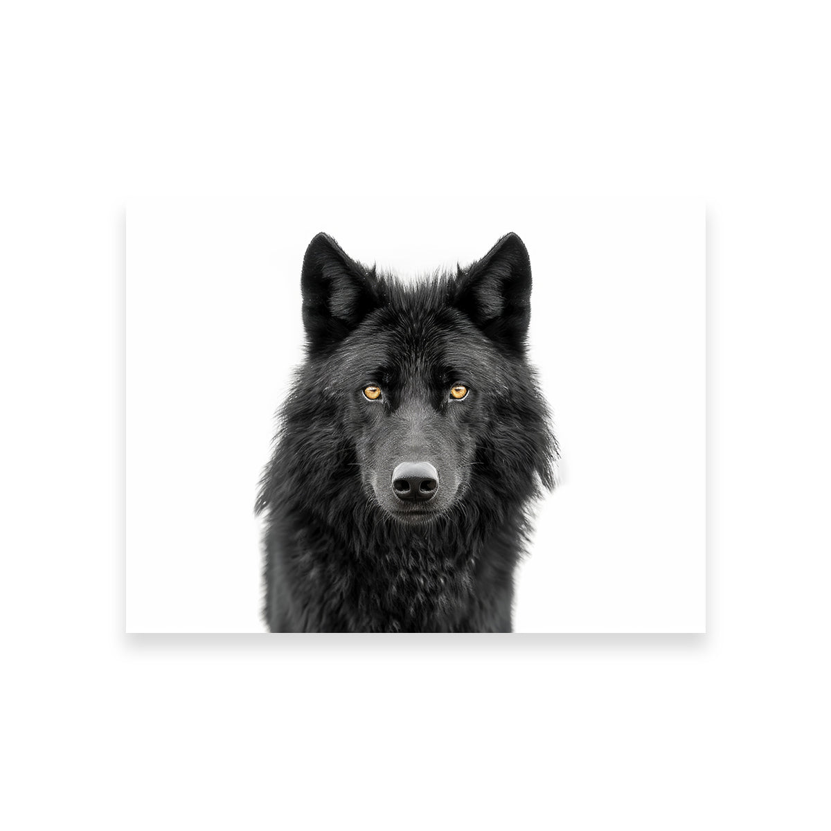 Black Wolf Portrait Wall Art