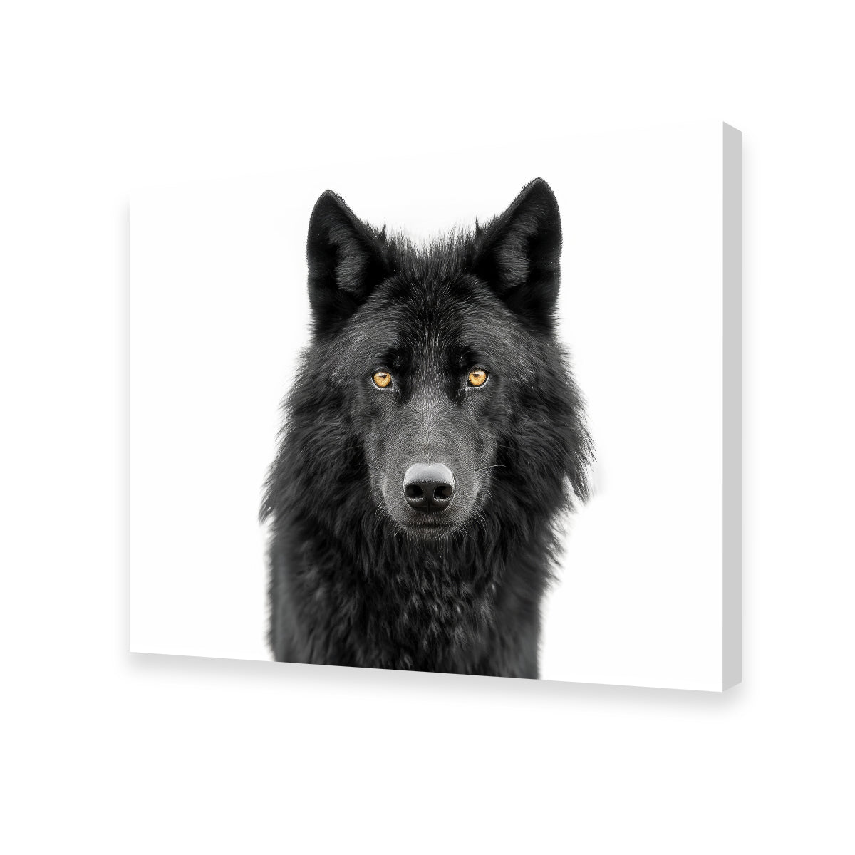 Black Wolf Portrait Wall Art
