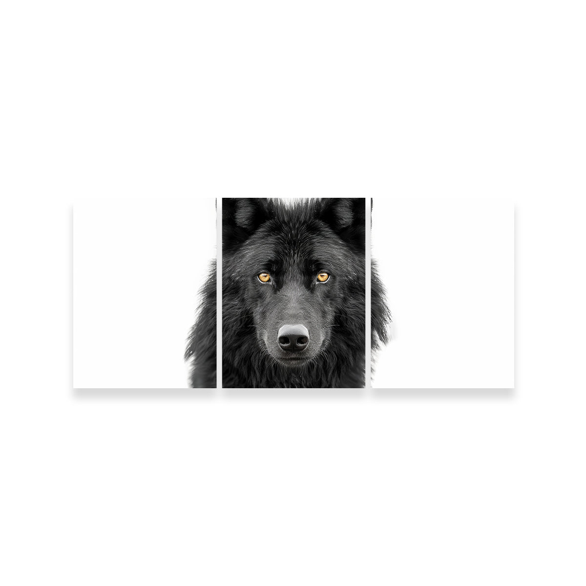 Black Wolf Portrait Wall Art