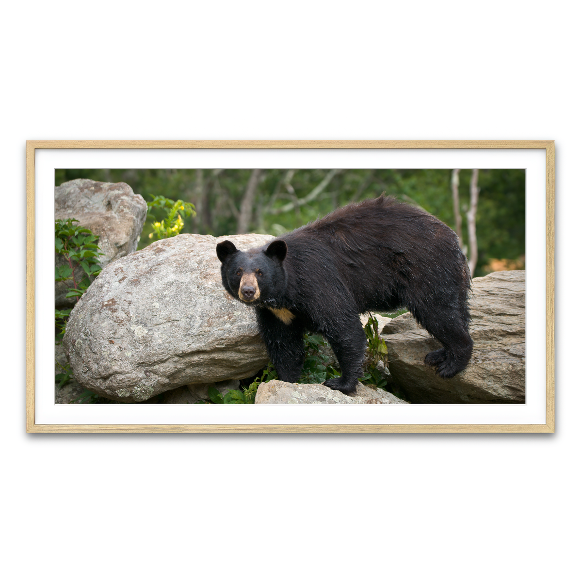 Framed Print 2x1 Natural