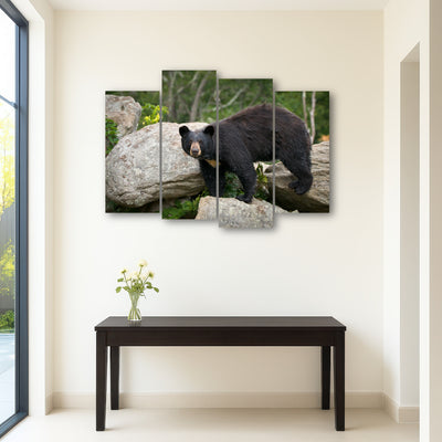 AUTO-MOCKUP ROOM | Black Bear