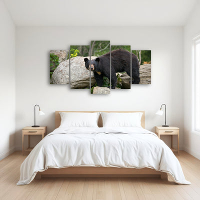AUTO-MOCKUP ROOM | Black Bear