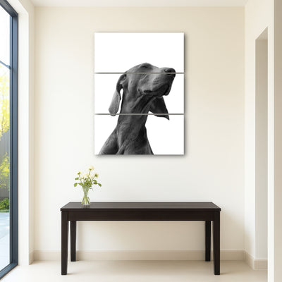 AUTO-MOCKUP ROOM | Black Dog