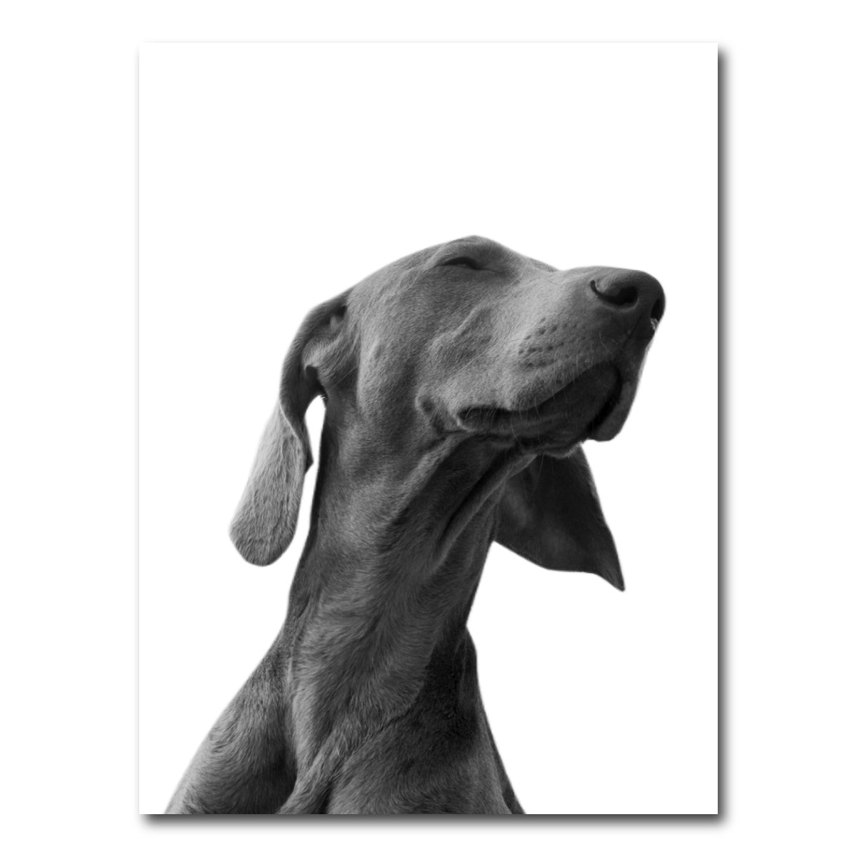 AUTO-MOCKUP WHITE | Black Dog | 1 Piece | Gallery Wrap Canvas | group=3x4