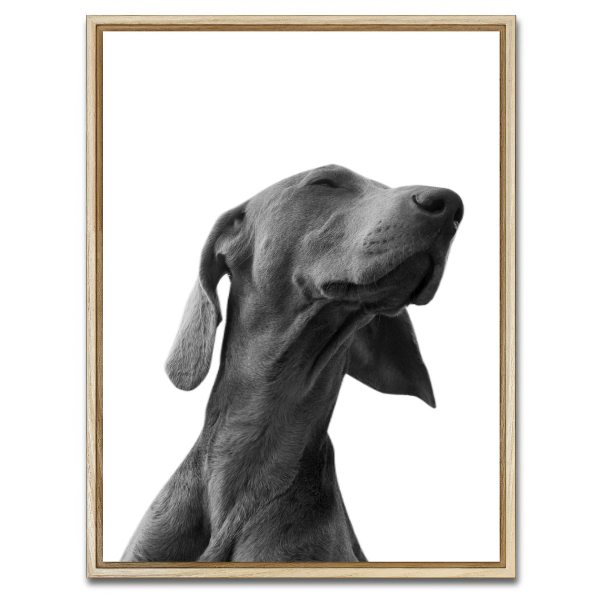 AUTO-MOCKUP WHITE | Black Dog | 1 Piece | Natural Framed Canvas | group=3x4