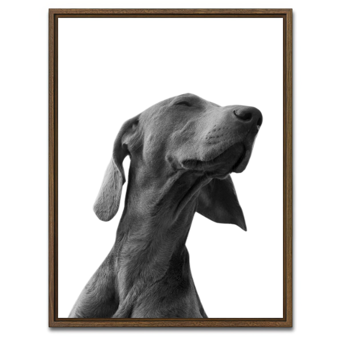 AUTO-MOCKUP WHITE | Black Dog | 1 Piece | Walnut Framed Canvas | group=3x4
