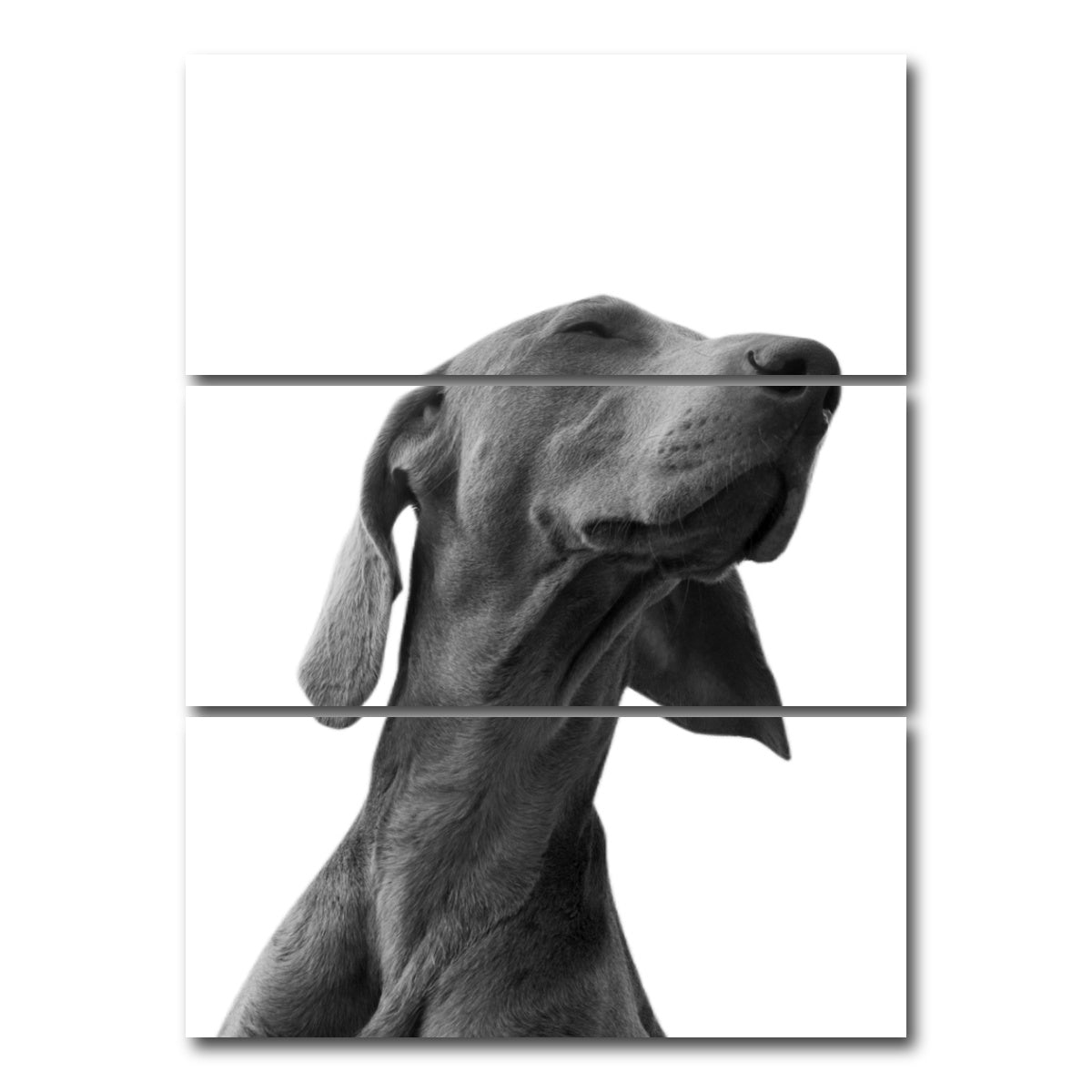 AUTO-MOCKUP WHITE | Black Dog | 3 Piece | Gallery Wrap Canvas | group=8x18_stacked