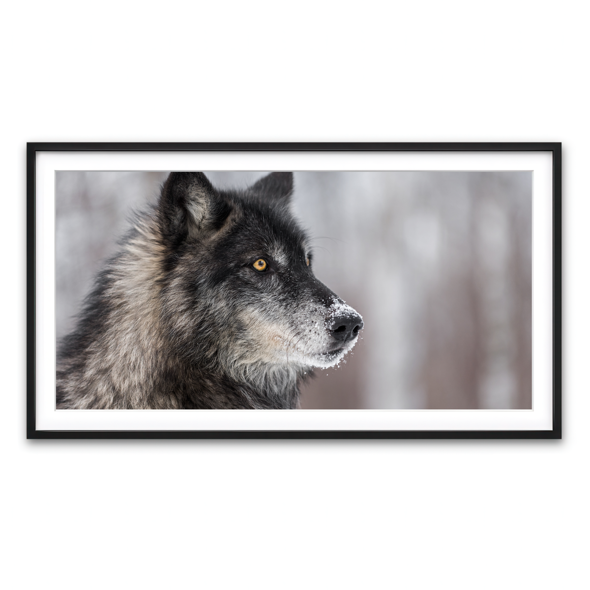 Framed Print 2x1 Black