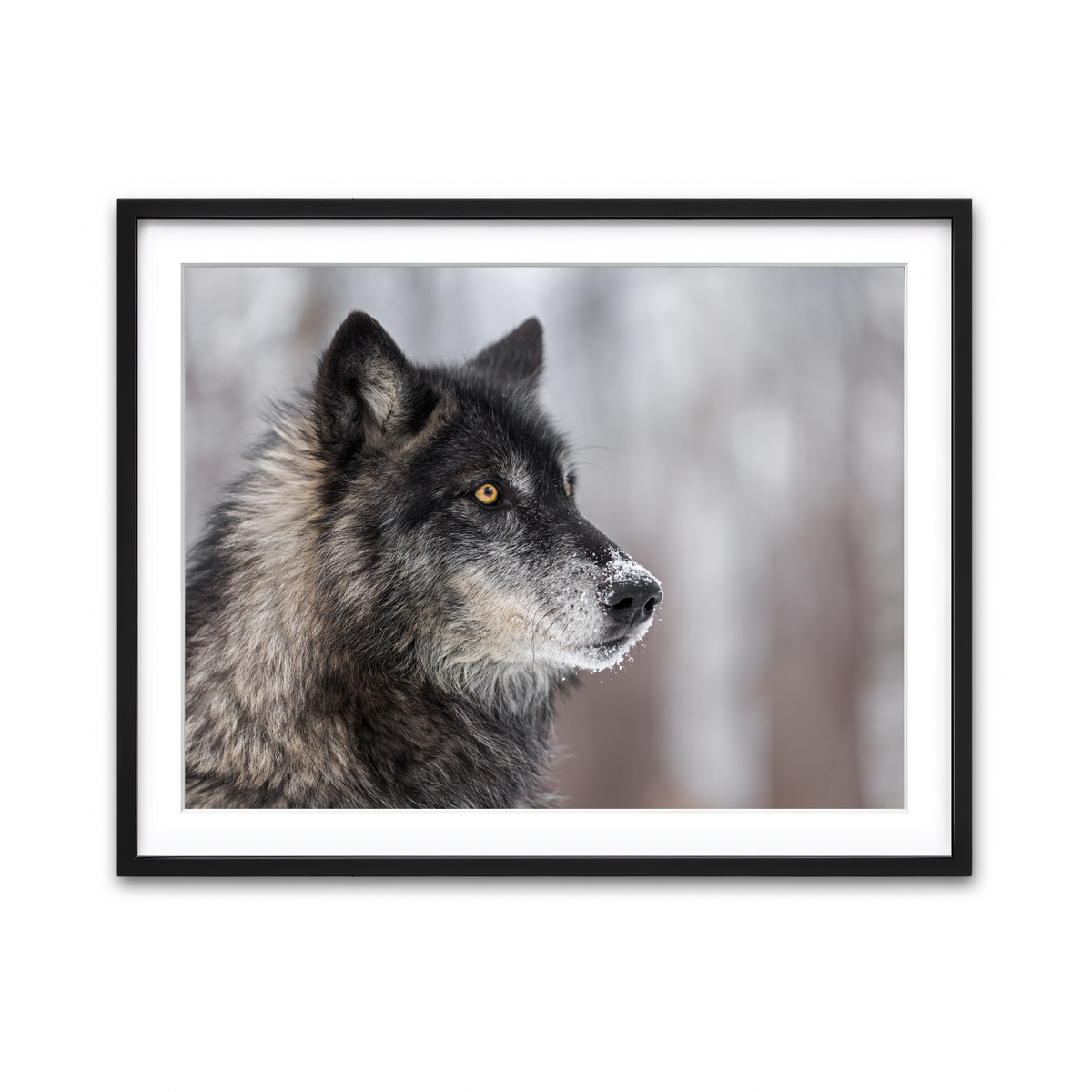 Framed Print 4x3 Black