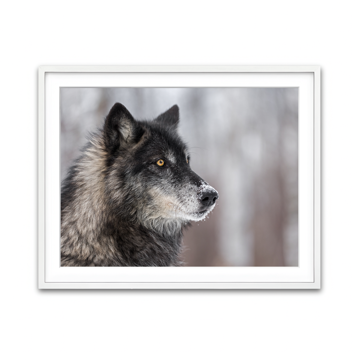 Framed Print 4x3 White