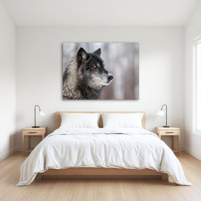 AUTO-MOCKUP ROOM | Black Grey Wolf