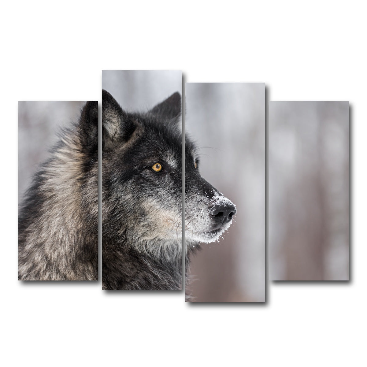 AUTO-MOCKUP WHITE | Black Grey Wolf | 4 Piece | Gallery Wrap Canvas | group=4_normal