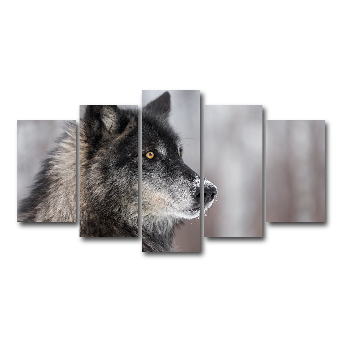 AUTO-MOCKUP WHITE | Black Grey Wolf | 5 Piece | Gallery Wrap Canvas | group=5_normal