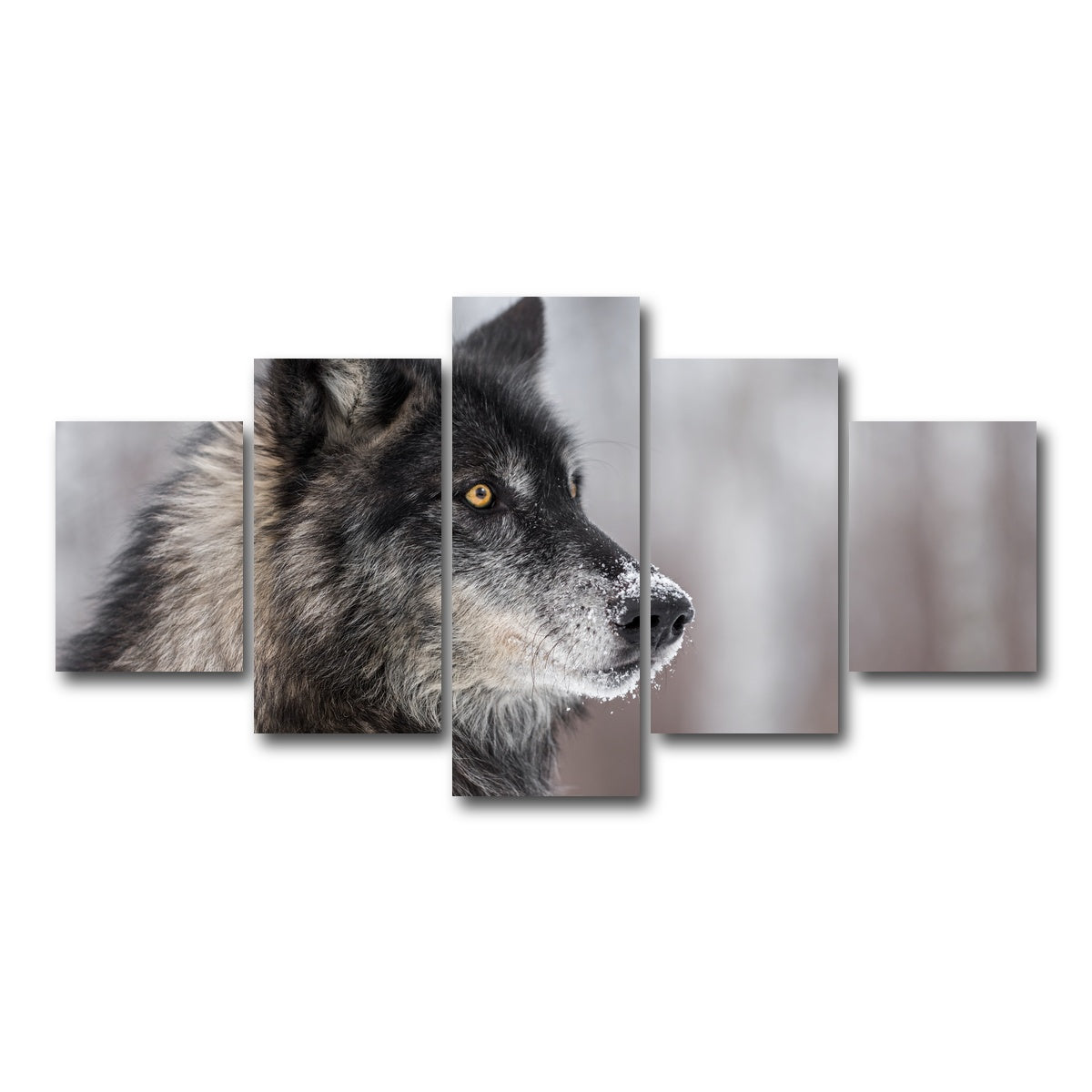 AUTO-MOCKUP WHITE | Black Grey Wolf | 5 Piece | Gallery Wrap Canvas | group=5_short