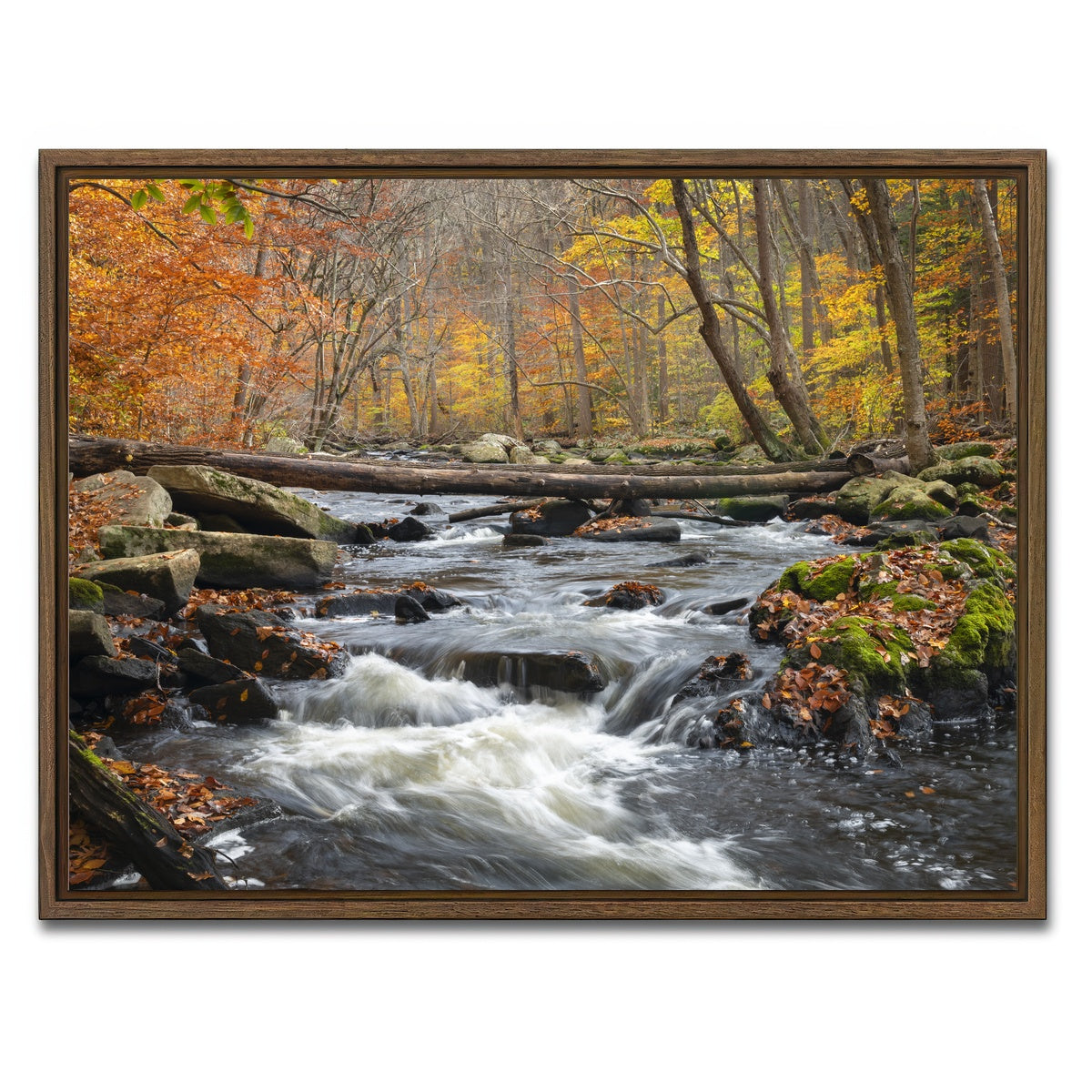 AUTO-MOCKUP WHITE | Black River Catskills NY | 1 Piece | Walnut Framed Canvas | group=4x3