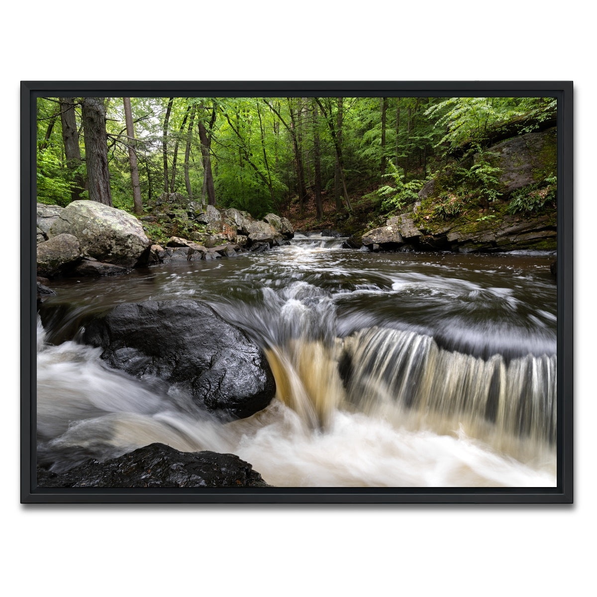 AUTO-MOCKUP WHITE | Black River in Summer | 1 Piece | Black Framed Canvas | group=4x3