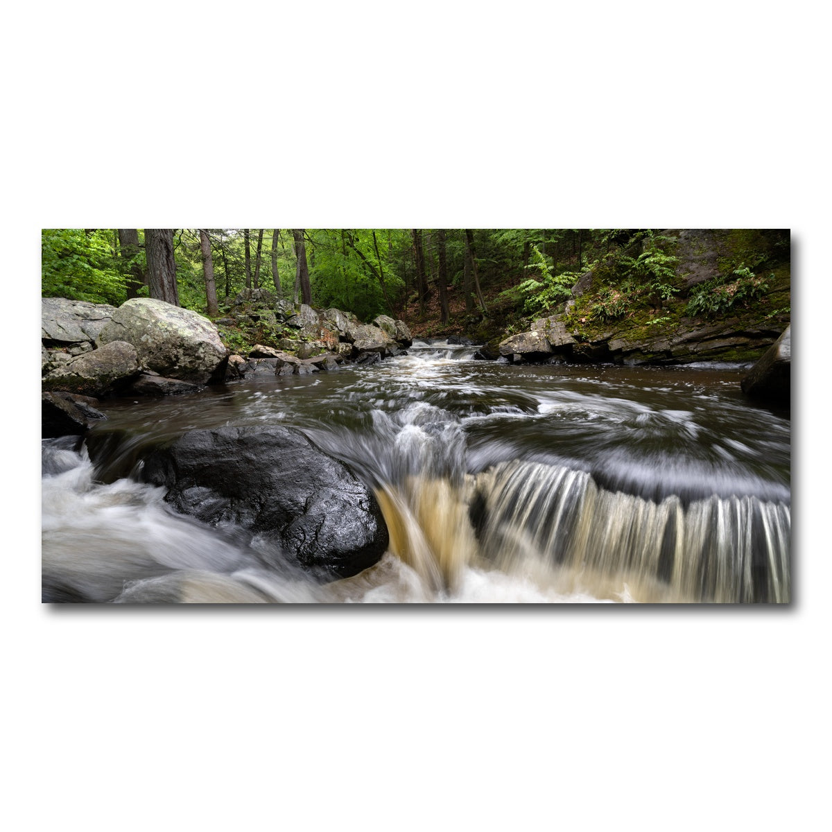 AUTO-MOCKUP WHITE | Black River in Summer | 1 Piece | Gallery Wrap Canvas | group=2x1