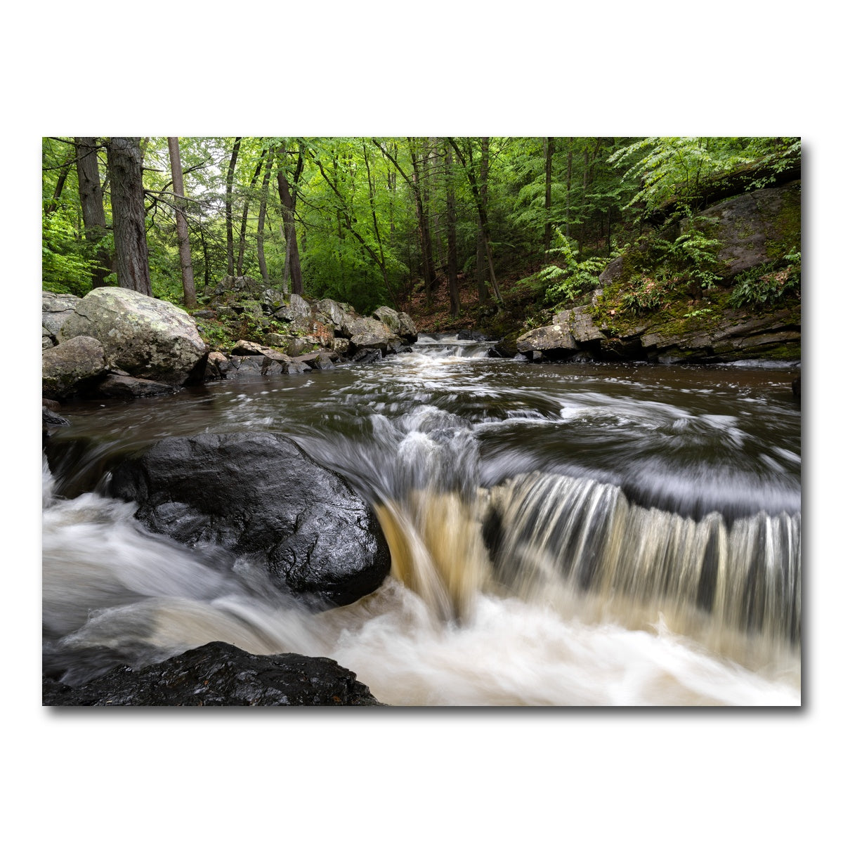 AUTO-MOCKUP WHITE | Black River in Summer | 1 Piece | Gallery Wrap Canvas | group=4x3