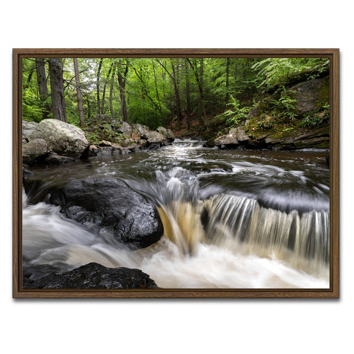 AUTO-MOCKUP WHITE | Black River in Summer | 1 Piece | Walnut Framed Canvas | group=4x3