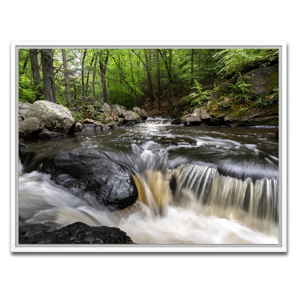 AUTO-MOCKUP WHITE | Black River in Summer | 1 Piece | White Framed Canvas | group=4x3
