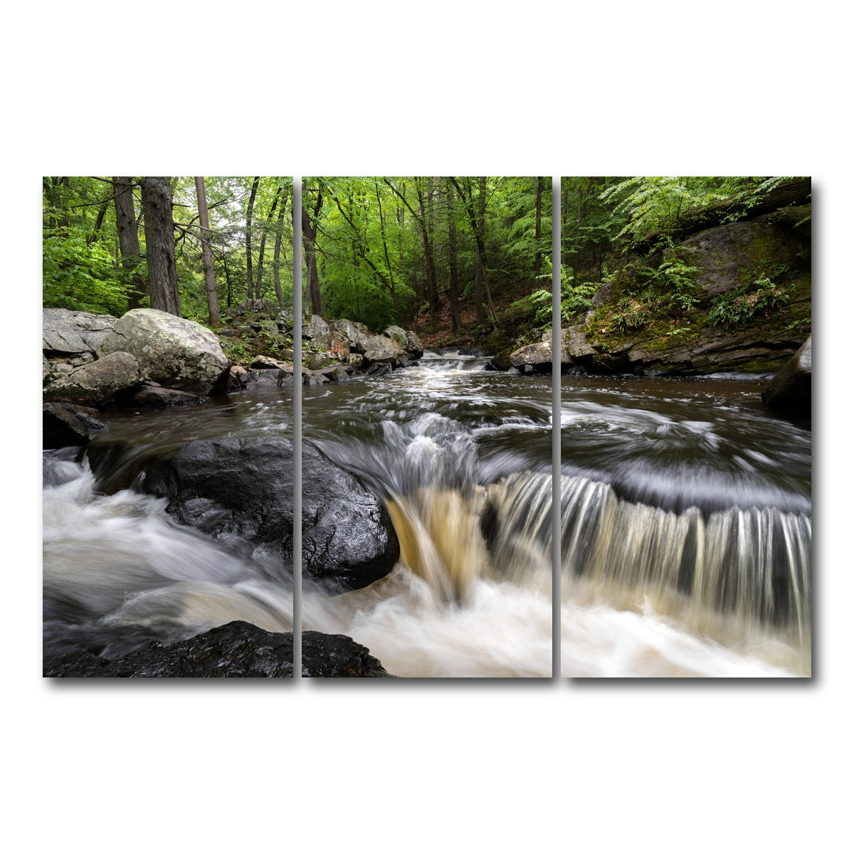 AUTO-MOCKUP WHITE | Black River in Summer | 3 Piece | Gallery Wrap Canvas | group=12x24