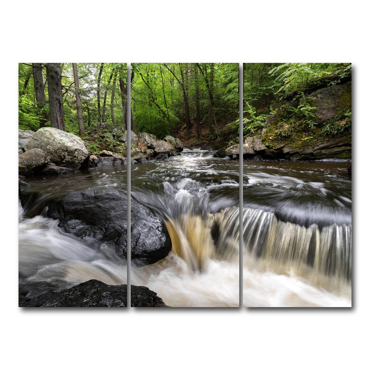 AUTO-MOCKUP WHITE | Black River in Summer | 3 Piece | Gallery Wrap Canvas | group=8x18