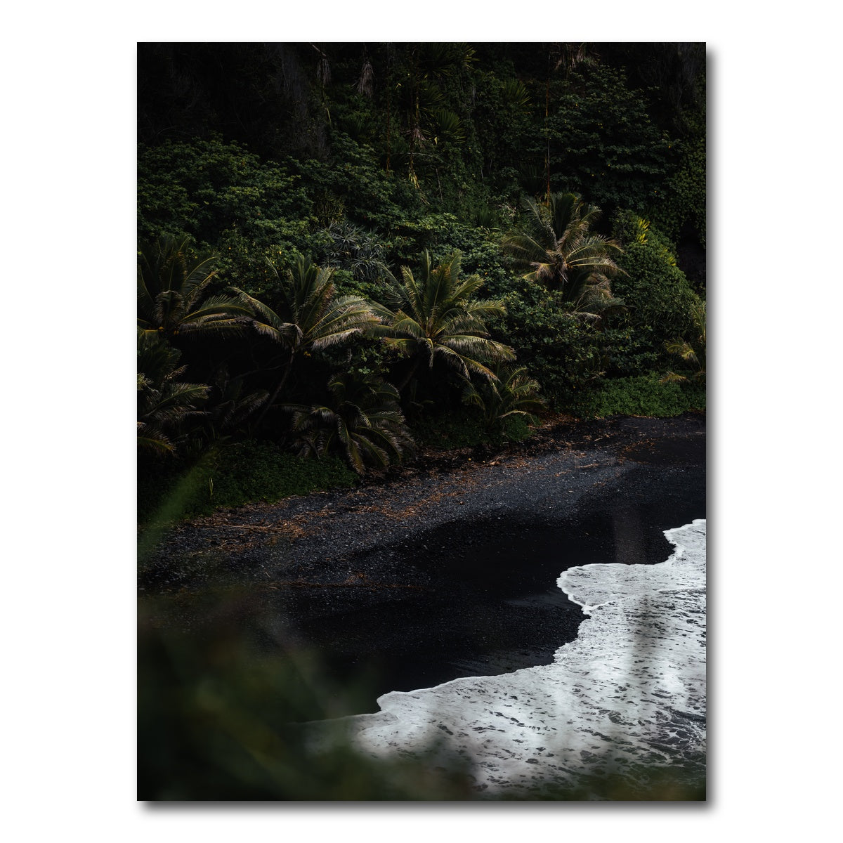 AUTO-MOCKUP WHITE | Black Sand Palms | 1 Piece | Gallery Wrap Canvas | group=3x4