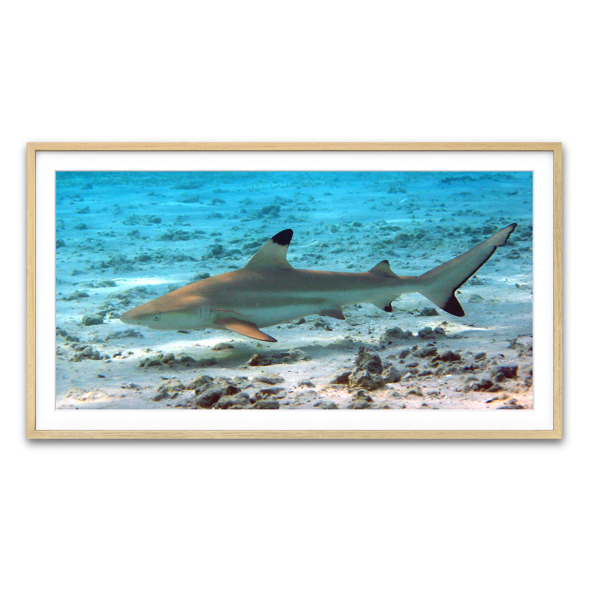 Framed Print 2x1 Natural