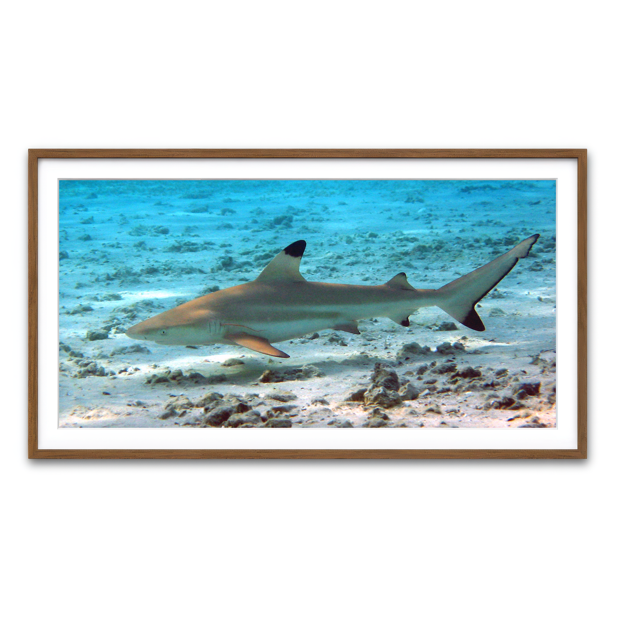 Framed Print 2x1 Walnut