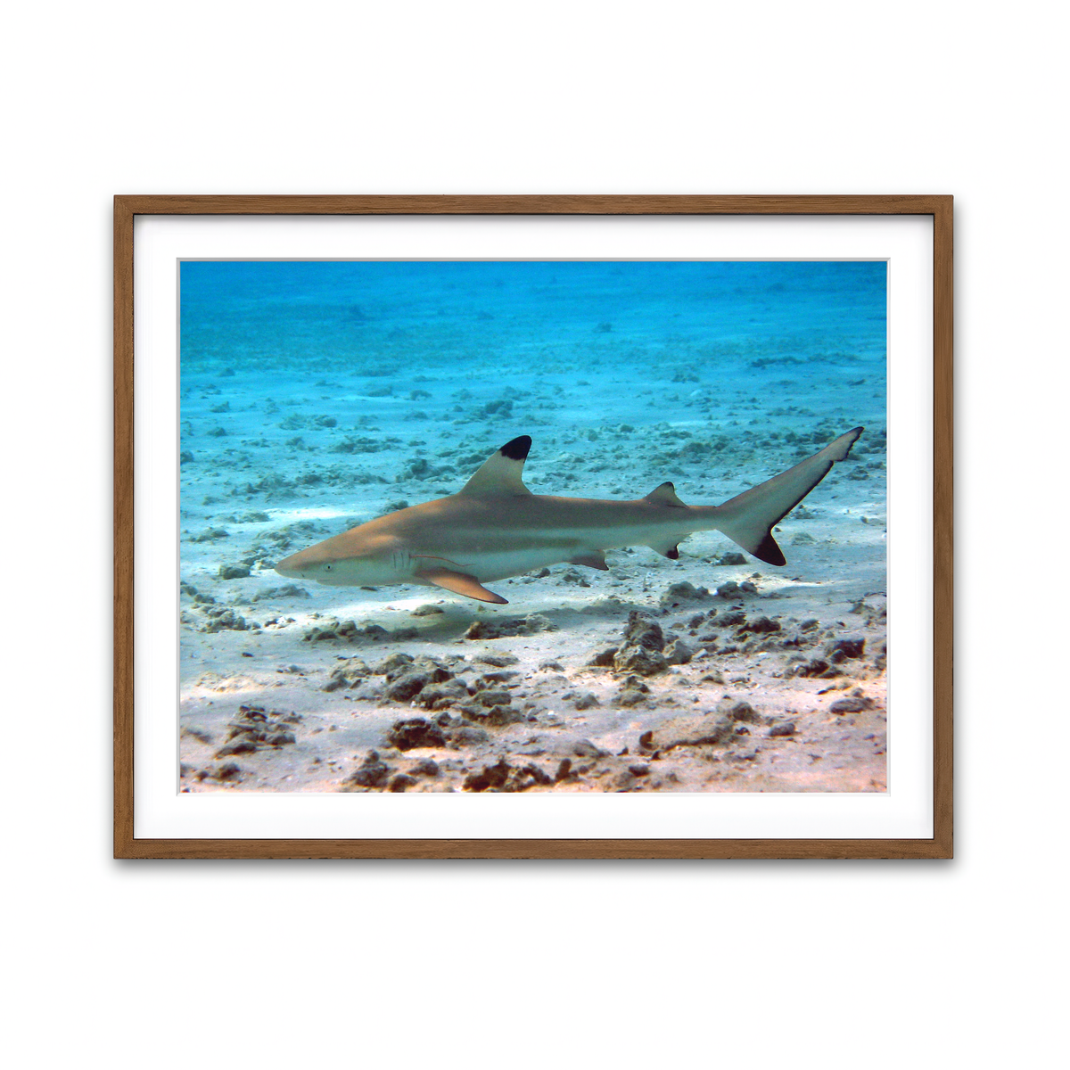 Framed Print 4x3 Walnut